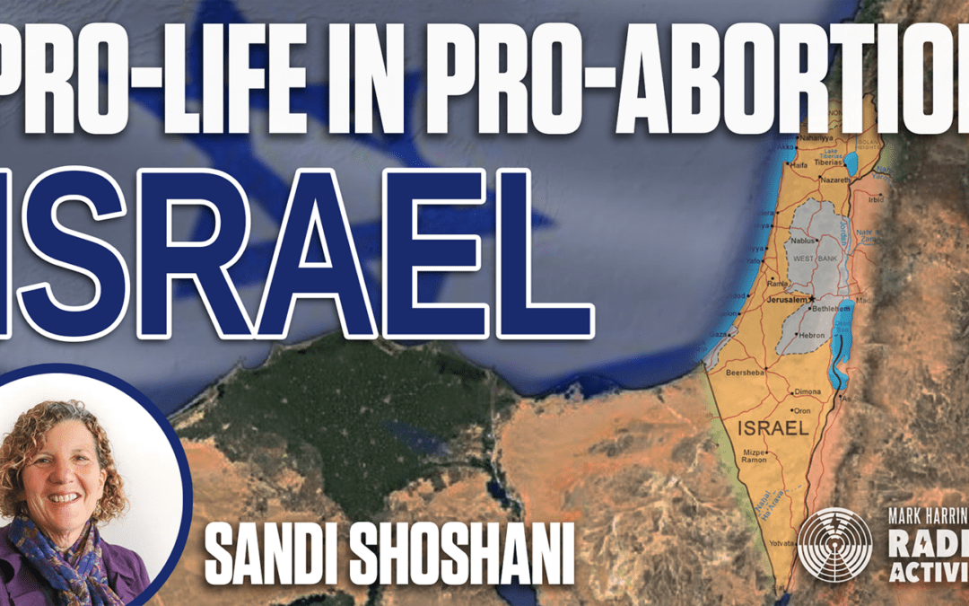 Israel: The Ongoing Holocaust – Sandy Shoshani