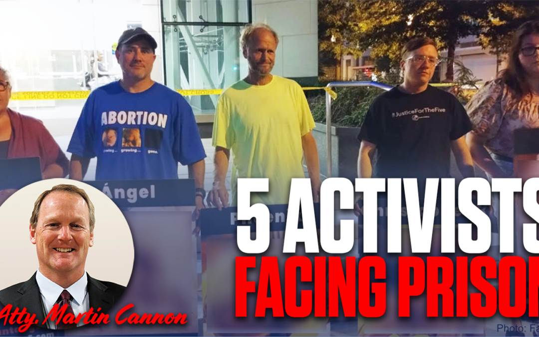 About FACE: Will Activists Go to Prison for Defending Life?